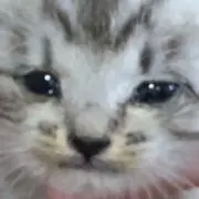 るね