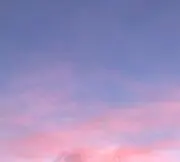 Tの画像