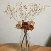 chXXの画像