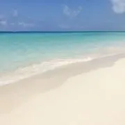 Coralꪔ̤̫の画像