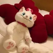 Mi