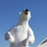 もっくまの画像