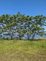 古着屋ゆずの木⭐️値下げコメント大歓迎の画像