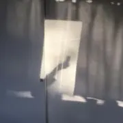 merの画像