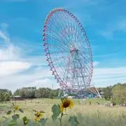 あきの画像