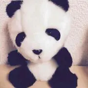 ぱんだの画像