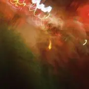 hagridの画像