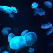 R※プロフ必読※の画像