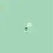 てぃーりっぷの画像