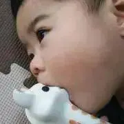 シュガーの画像