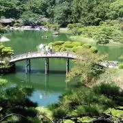 ユウの画像