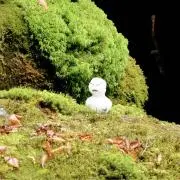 johnpapaの画像