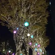 あっぴー