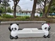 PANDAの画像