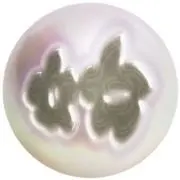 すいせいの画像
