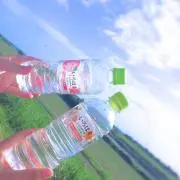 みみみの画像