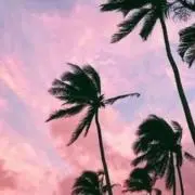 はなはな
