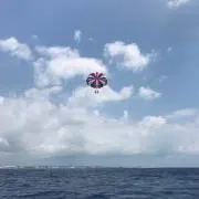 reiの画像