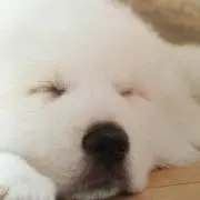 あさちん
