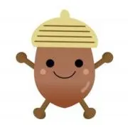 どんぐり