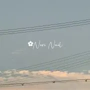 ✿Noriの画像