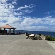 むーむーの画像