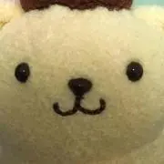 イヌの画像