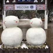 抹茶きなこの画像