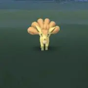 まろうこん