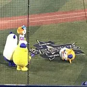 kamegomameの画像