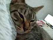 みゆきママ