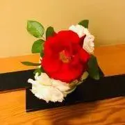 わほんの画像