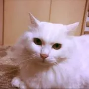 ♬*桃 ママ ♬*゜