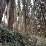 りゅうりゅう