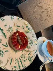 こぐまの画像