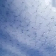 どるる
