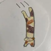 もの画像
