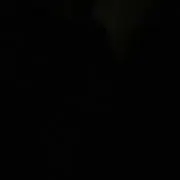 こう‪♣︎の画像