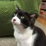 Eriの画像