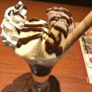 しぇしぇしぇのしぇ