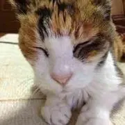 くぅ⭐️の画像