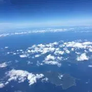 minminの画像
