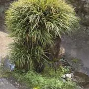 otioの画像