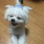 みち
