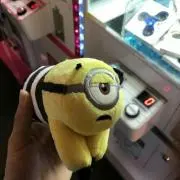 こいの画像