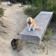 ダメ元で良ければ価格交渉もどうぞ★の画像