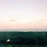 エビ
