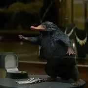 たくぞー