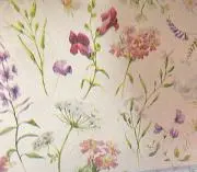 にゃーの画像