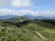 ぽんこつの画像